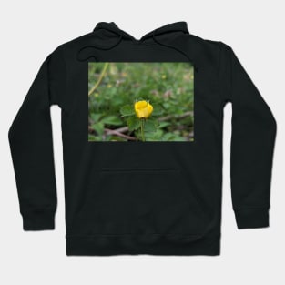 Wild Strawberry Bloom 1 Hoodie